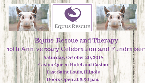 Equus Rescue and Therapy 10th Anniversary Celebration